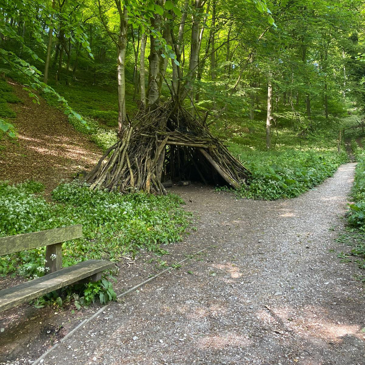 Millington Woods Shelter
